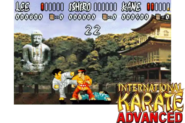 international karate advanced
